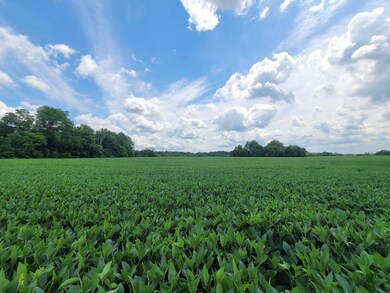 2096 Owens Rd, Felicity, OH 45120 - photo 7