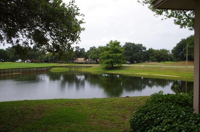 IMGP0529