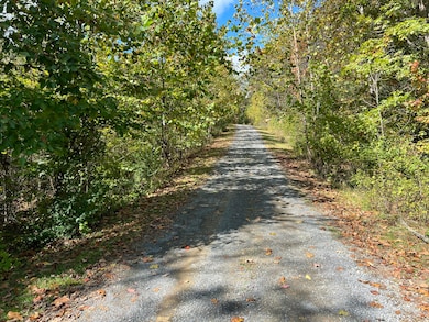 0 Grand View Dr unit 25-836, Forest Hill, WV 24935 - photo 4