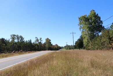 14504 Farmville Rd, Meherrin, VA 23954 - photo 4