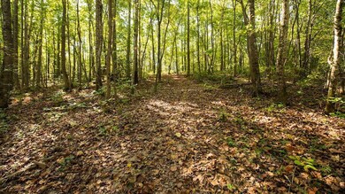 136 Genson Rd, Lawrenceburg, TN 38464 - photo 7