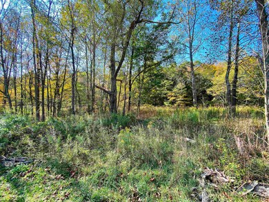 Lot 1 Blizzards Gate Rd, Harman, WV 26270 - photo 6