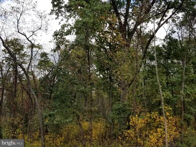 0 Lot 6 Langhorne Dr unit 1003394521, Winchester, VA 22602 - photo 5