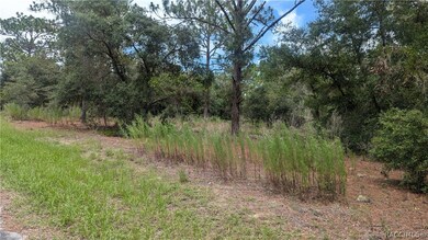 tbd SW 207th Ct, Dunnellon, FL 34431 - photo 3