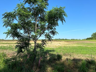 20.26+-ac Cecil Varnum Rd, Dothan, AL 36301 - photo 6