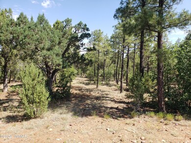 4750 W Acer Ln, Show Low, AZ 85901 - photo 3