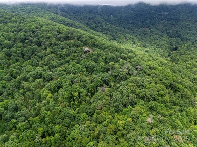 0 Peartree Dr unit 526 CAR4293152, Lake Lure, NC 28746 - photo 3