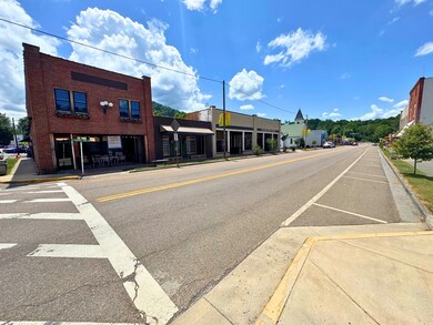 109 W Laurel Ave, Damascus, VA 24236 - photo 4