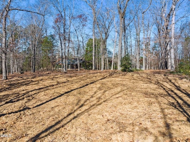 101 Madera Ln, Chapel Hill, NC 27517 - photo 6