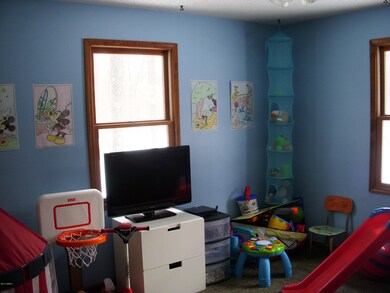 287 Hayes St, Bitely, MI 49309 - photo 6