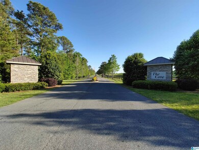 00 Cove Rd, Fayetteville, AL 35151 - photo 6