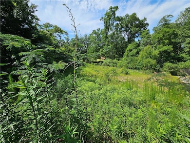View of local wilderness