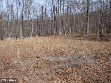 77 Driftwood Dr, Gerrardstown, WV 25420 - photo 3