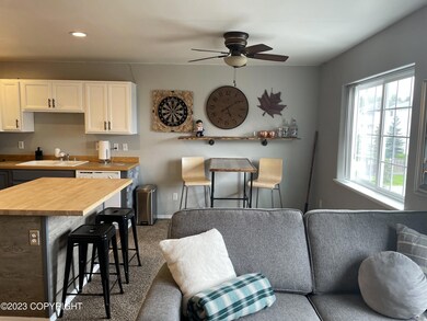 Kitchen / Living Area