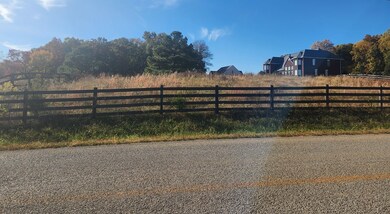 000 9 81 Acres Quinland Lake Rd N, Cookeville, TN 38506 - photo 4