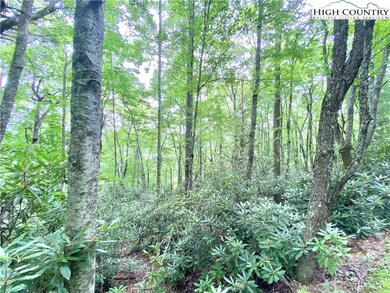 Great wooded setting gives you peace and quiet