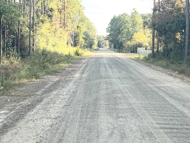 Lots 1,2,3 13th St, Santa Rosa Beach, FL 32459 - photo 4