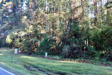 0 Statham Lake Front, Cobb, GA 31735 - photo 7