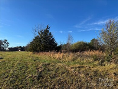 0 Bradley Rd, Gaffney, SC 29341 - photo 5