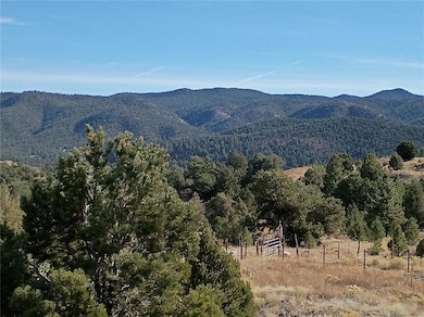 118 Porcupine Rd, Cotopaxi, CO 81223 - photo 7