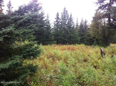 photo 1 (21)