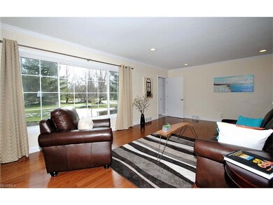 The spacious living room.