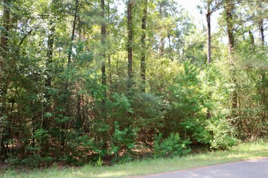 0000 Chelsie Place, Magnolia, TX 77354 - photo 3