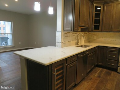 2931 Deer Hollow Way unit 402, Fairfax, VA 22031 - photo 5