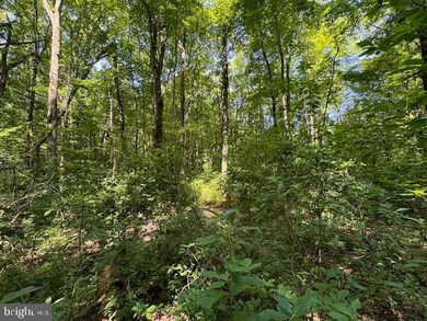 224 Spring Rd, Millington, MD 21651 - photo 6