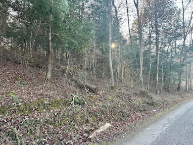 Lot 13 Hensley Rd, East Bernstadt, KY 40729 - photo 6