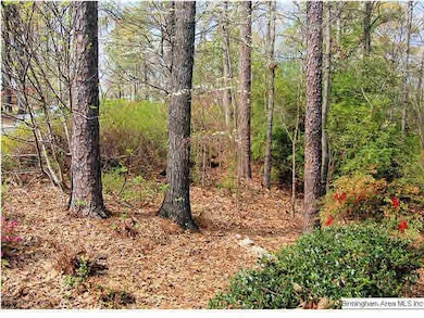 It is situated on a huge double lot that has an aw