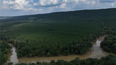 0 Mandy Ln, Casa, AR 72025 - photo 2