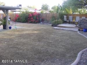 back yard