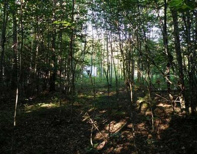 Land/Lot. Out in back of the camp