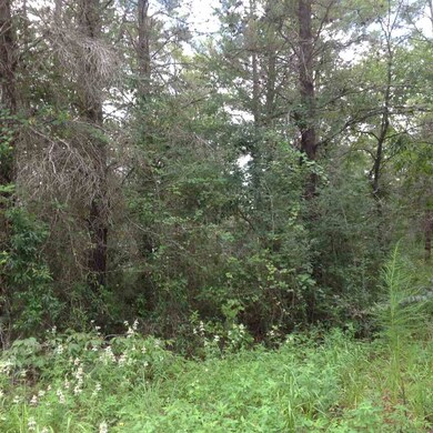 0 Seameadows Dr unit 274143, Perry, FL 32348 - photo 5