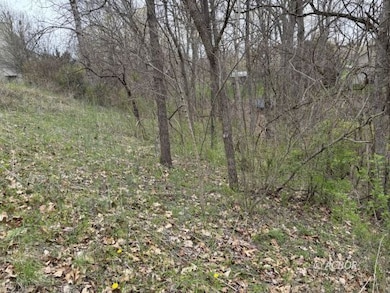 Gentle slope at top of lot.