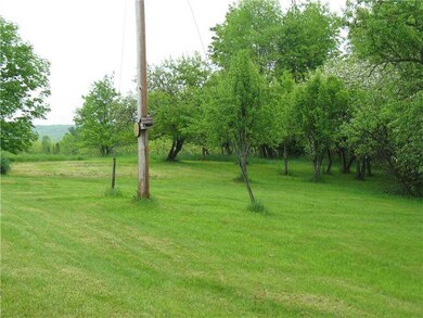Yard/Garden. Apple and Pear trees