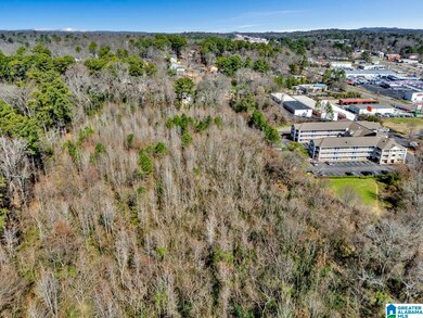 580 Goldenrod Dr unit 1, Birmingham, AL 35215 - photo 7