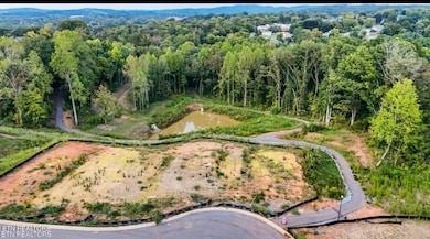 1736 Bennett Village Dr, Maryville, TN 37804 - photo 4