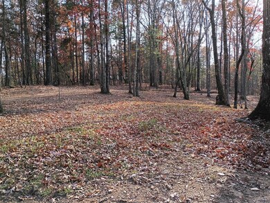 1681 Carters Rd unit 109, Chatsworth, GA 30705 - photo 3