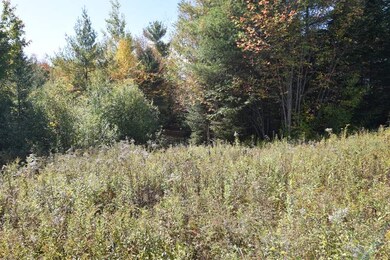 0 Steeple View Dr unit Lot 4 4779173, Bethlehem, NH 03574 - photo 2