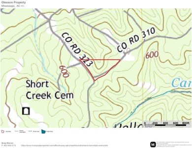 0 0 Cr 323 & Cr 310, Iuka, MS 38852 - photo 5