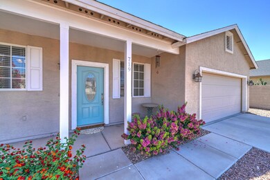 719 S Paustian Cir-5