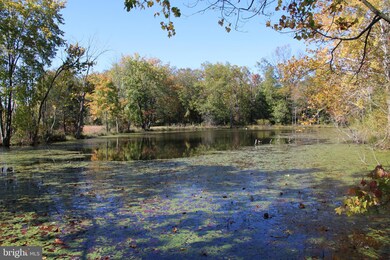 0 Sadlick Lot O Rd, Strasburg, VA 22657 - photo 7