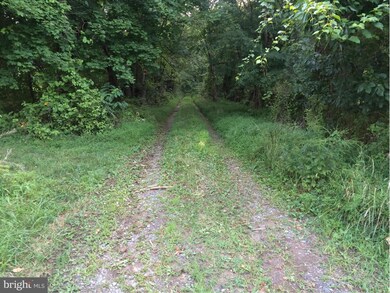 0 Mountain Rd unit 1000714757, Purcellville, VA 20132 - photo 3