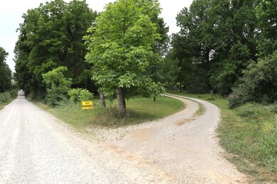 10653 E Wright Rd, Bloomfield, IN 47424 - photo 2