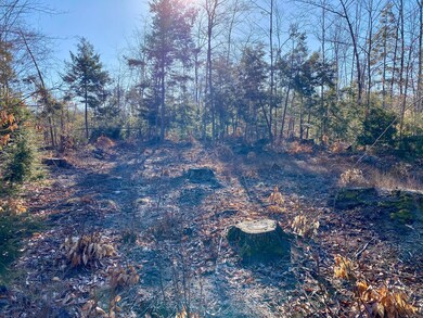 Lot 4 Great Falls Rd, Gorham, ME 04038 - photo 4