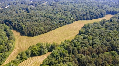 0 Goodrich Rd unit RTC3049525, Nunnelly, TN 37137 - photo 4