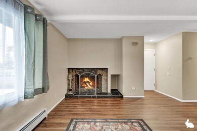 Entry / Living Room