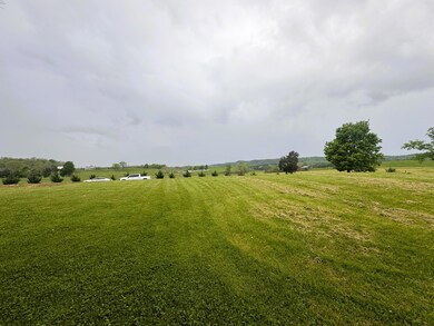 IMG_1990